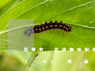 百度有錢花逾期收到律師函(被百度有錢花發(fā)來律師函)