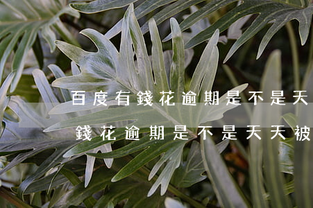 百度有錢花逾期是不是天天被騷擾-百度有錢花逾期是不是天天被騷擾電話