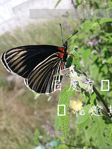 百度有錢花逾期會上失信人名單嗎-百度有錢花逾期會上失信人名單嗎知乎