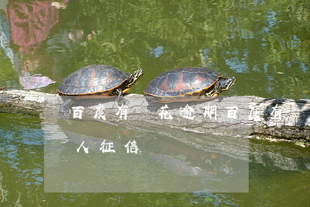 百度有錢花   逾期(百度有錢花逾期幾天會上個人征信)