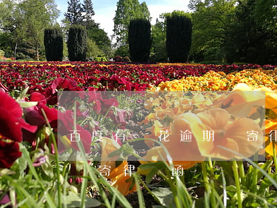 百度有錢花逾期說寄律師函(百度有錢花逾期說寄律師函)