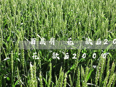 百度有錢花還款后2000額度-百度有錢花還款后2000額度還在嗎