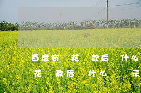 百度有錢花還款后為什么沒顯示-百度有錢花還款后為什么沒顯示額度