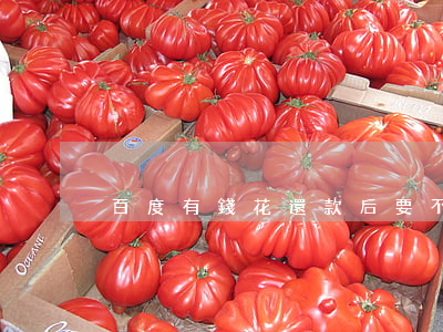 百度有錢花還款后要不要提前還-