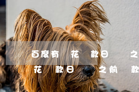 百度有錢花還款日幾點之前還款-百度有錢花還款日幾點之前還款好