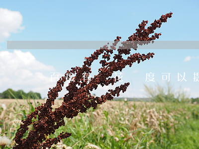 百度有錢花額度可以提前還款嗎-