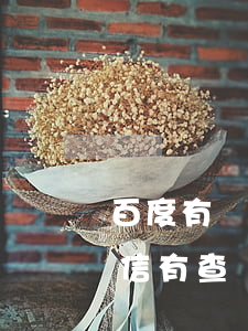 百度有錢貸款逾期征信(百度有錢花借款上征信 有查過(guò)的嗎)