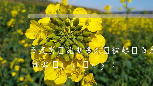百度有錢逾期多久會被起訴(百度有錢逾期法律效應(yīng))