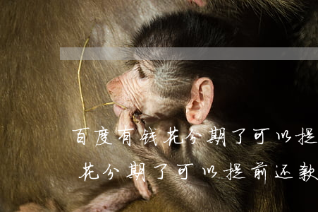 百度有钱花分期了可以提前还款-百度有钱花分期了可以提前还款吗