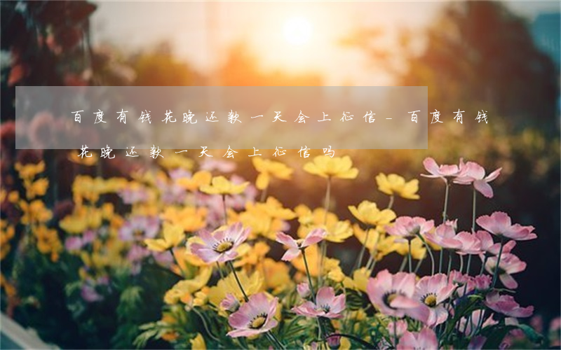 百度有钱花晚还款一天会上征信-百度有钱花晚还款一天会上征信吗