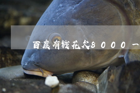 百度有钱花欠8000一年了