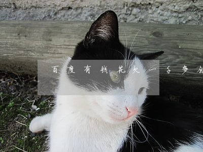 百度有钱花欠一千多会上门吗
