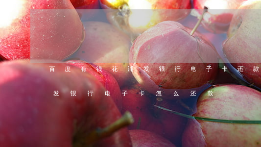 百度有钱花浦发银行电子卡还款-有钱花浦发银行电子卡怎么还款