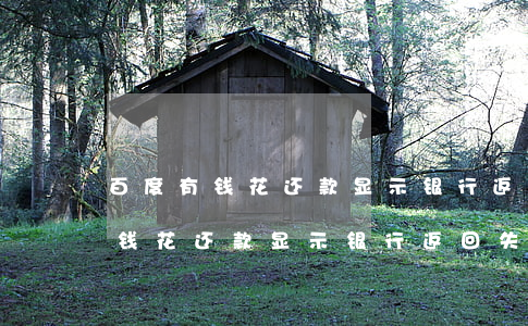 百度有钱花还款显示银行返回失败-百度有钱花还款显示银行返回失败怎么回事