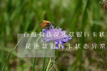 百度有钱花还款银行卡状态异常-百度有钱花还款银行卡状态异常怎么回事