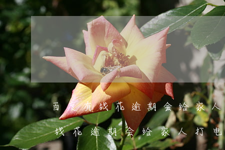 百度有钱花逾期会给家人打电话么-百度有钱花逾期会给家人打电话么吗