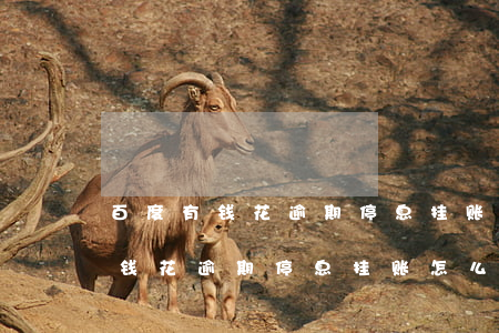 百度有钱花逾期停息挂账怎么申请-百度有钱花逾期停息挂账怎么申请的
