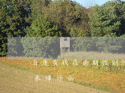 百度有钱花逾期收到律师函(被百度有钱花发来律师函)