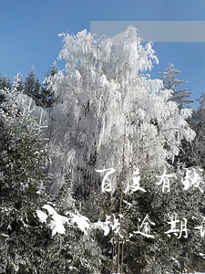 百度有钱逾期说要划扣我微信资金-百度有钱逾期说要划扣我微信资金怎么办