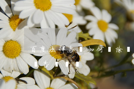 百度法律咨詢如何刪除記錄,怎么刪除百度律師咨詢記錄 百度法律咨詢如何刪除記錄,怎么刪除百度律師咨詢記錄