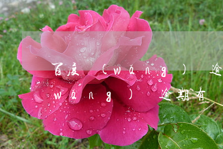 百度網(wǎng)貸逾期了會起訴嗎(網(wǎng)貸逾期有沒有被起訴的)