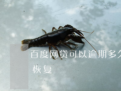 百度网贷可以逾期多久(网贷逾期过后多久能恢复)
