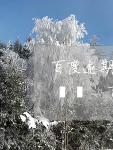 百度逾期幾天會打緊急聯(lián)系人電話-百度逾期幾天會打緊急聯(lián)系人電話嗎