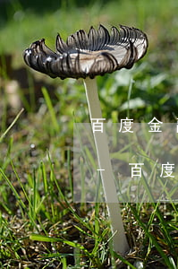 百度金融有錢花逾期前協(xié)商還款-百度有錢花逾期協(xié)商還款成功