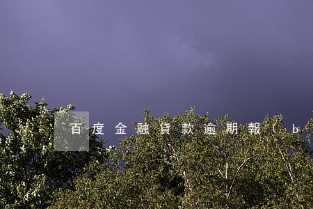 百度金融貸款逾期報(bào)案