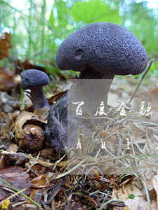 百度金融逾期多久起訴-佰仟金融逾期會(huì)被告嗎