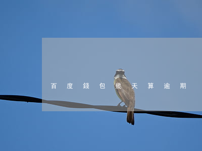 百度錢包幾天算逾期
