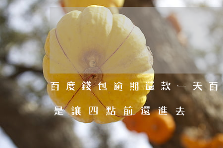百度錢包逾期還款一天(百萬錢包逾期兩天又是讓四點前還進去)