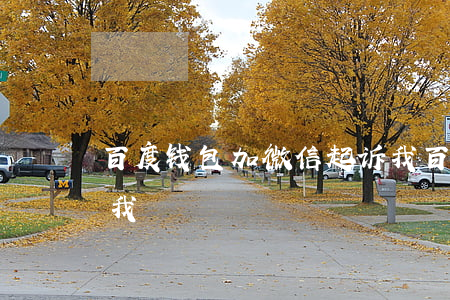 百度钱包加微信起诉我（百度钱包加微信起诉我）