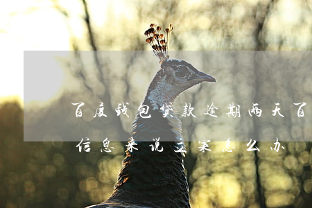 百度钱包贷款逾期两天(百度钱包逾期两年发信息来说立案怎么办)