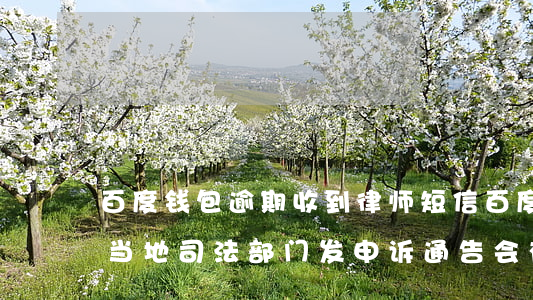 百度钱包逾期收到律师短信(百度钱包逾期向当地司法部门发申诉通告,会有什么后果)