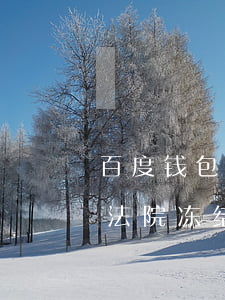 百度钱包逾期让去法院开庭了(百度钱包会被法院冻结吗)