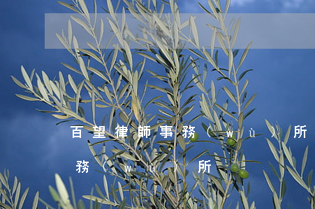 百望律師事務(wù)所怎么樣(百恩律師事務(wù)所)