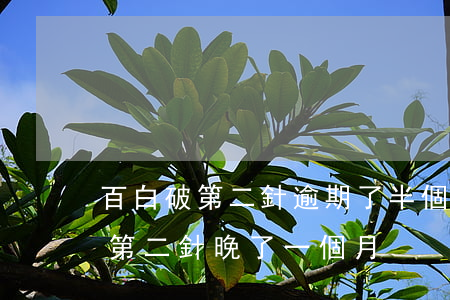 百白破第二針逾期了半個月怎么辦-百白破第二針晚了一個月