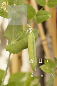 百聯(lián)錢包逾期起訴(百聯(lián)錢包逾期起訴)