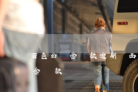 百色公積金貸款逾期(廣西百色恢復異地公積金貸款)