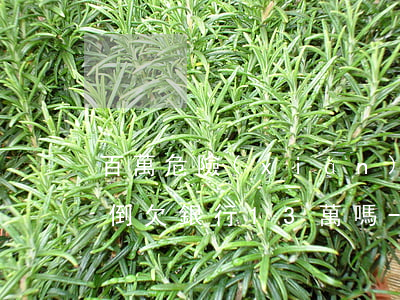 百萬危險(xiǎn)存款還會(huì)倒欠銀行13萬嗎-百萬危險(xiǎn)存款還會(huì)倒欠銀行13萬嗎為什么
