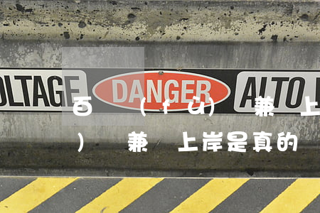 百萬負(fù)債 兼職上岸-百萬負(fù)債 兼職上岸是真的嗎