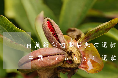 百萬錢包逾期后無法還款(百萬錢包還款不能主動(dòng)還款)