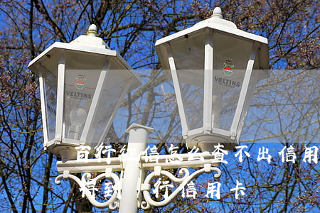 百行征信怎么查不出信用卡逾期(百行征信查得到銀行信用卡嗎)