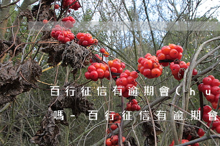 百行征信有逾期會(huì)影響芝麻信用嗎-百行征信有逾期會(huì)影響芝麻信用嗎