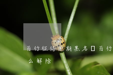 百行征信逾期黑名單 百行征信逾期黑名單怎么解除