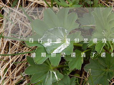 百行有逾期但是還清了還有影響嗎-百行有逾期但是還清了還有影響嗎怎么辦