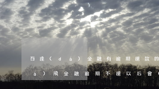 百達(dá)金融有逾期還款的嗎(有達(dá)飛金融逾期不還以后會(huì)怎么樣)