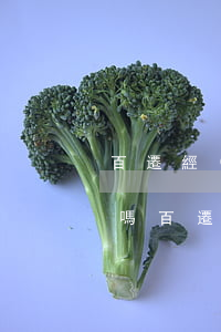 百遷經(jīng)融逾期五年有什么后果嗎 百遷經(jīng)融逾期五年有什么后果嗎