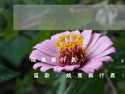 皖東銀行農(nóng)金貸逾期三天怎么還款-皖東銀行農(nóng)金貸逾期三天怎么還款啊